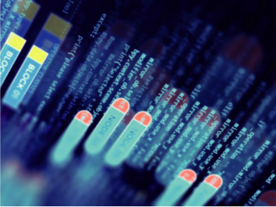 香港天线宝宝网站