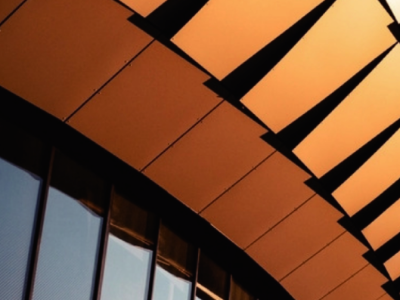 香港天线宝宝网站