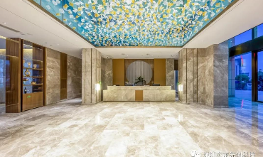 香港天线宝宝网站