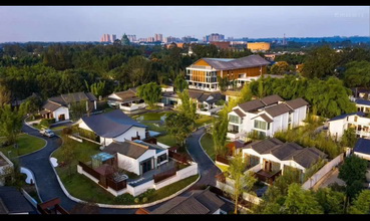 香港天线宝宝网站