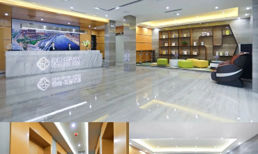 香港天线宝宝网站