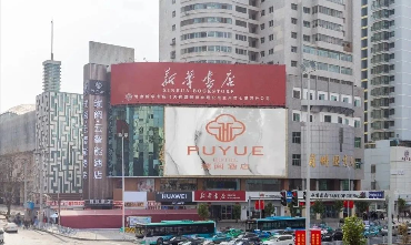 香港天线宝宝网站