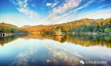 香港天线宝宝网站