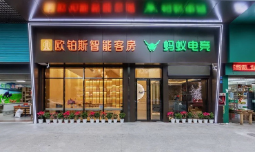 香港天线宝宝网站