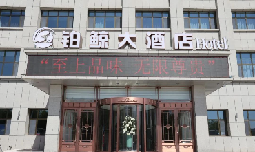 香港天线宝宝网站