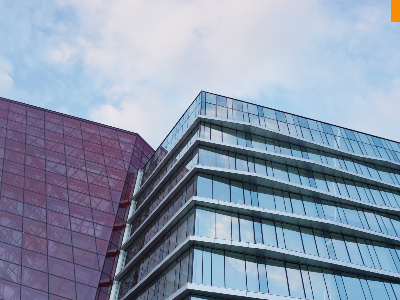 香港天线宝宝网站